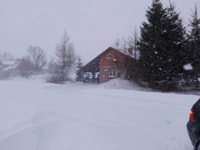 Na Pograniczu domek w górach, Lasówka